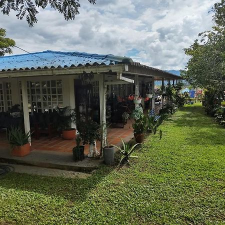 Villa Monica Монтенегро Екстер'єр фото